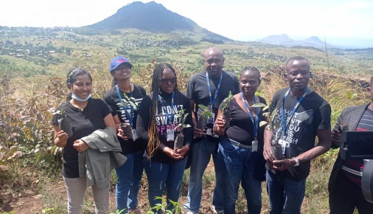 Tree Planting